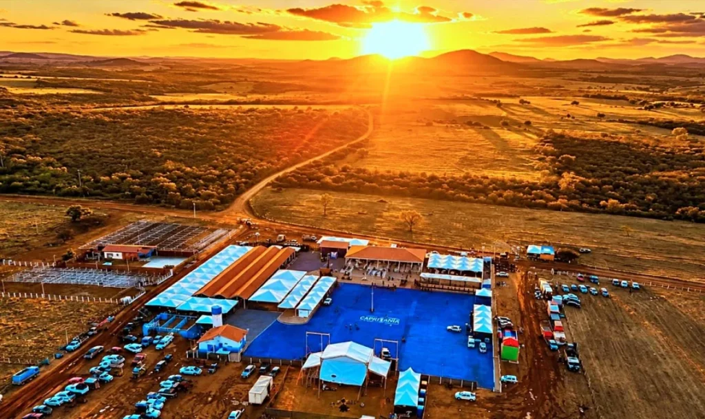 Capritânia 2026 começa com chegada de rebanhos, julgamentos e programação cultural em Betânia do Piauí
